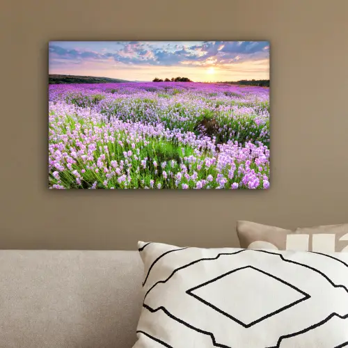 Lavendel - Bloemen - Zonsondergang - Paars - Weide canvas 2cm klein -sfeer3
