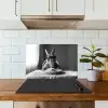Konijn - Bunny - Zonnebril - Tafelkleed - Pasta - Schattig keuken achterwand spatscherm klein -sfeer2