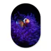 Koraal - Vis - Oranje - Zee Wandcirkel Ovaal Glas middel -3d