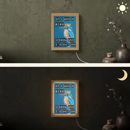 Vogel - Decoratie - Ijsvogel - Blauw Light Box met kabel (Wandlamp) klein -sfeer3
