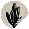 Cactus - Subtiel - Groen Wandcirkel behangsticker klein -3d