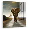 Olifant - Weg - Dieren - Zonsondergang - Landschap plexiglas 5mm klein -zzzproduct_nieuw