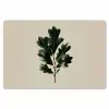Eikenbladeren - Beige - Groen - Golvende randen Placemat vinyl groot -zzsfeer1_Kitchenyeah-website