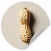 Pinda - Ruw - Beige Wandcirkel behangsticker klein -3d