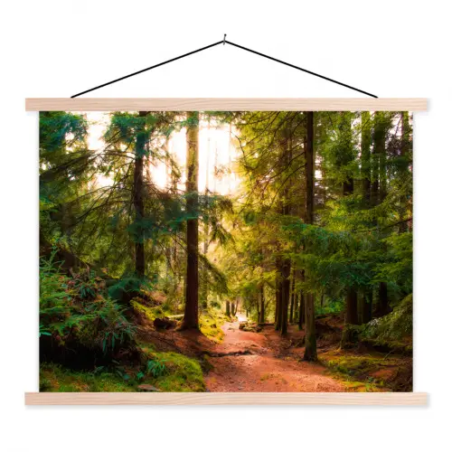 Bos - Pad - Bomen - Groen - Zon - Natuur textielposter latten blank klein -3d