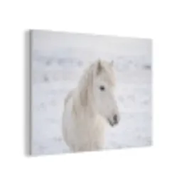 Paard - Kop - Winter - Dieren - Wit PET vilt klein -3d