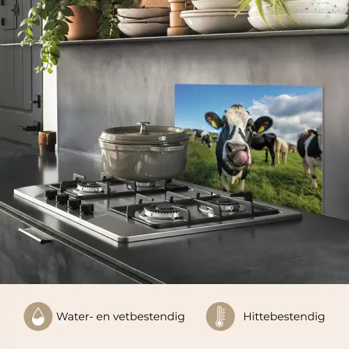 Koe - Tong - Weide keuken achterwand spatscherm klein -usp_NL