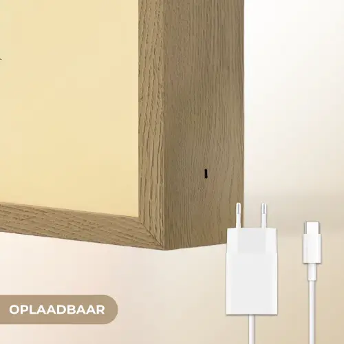 Vis - Sierlijk - Rugvin - Geel Light Box met batterij (Wandlamp) middel -USP_websiteoplaadbaarNL