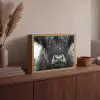 Schotse hooglander - Zwart - Wit - Sneeuwvlokken Light Box met batterij (Wandlamp) middel -sfeer2