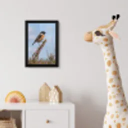 Roodborsttapuit - Heide - Paars - Natuur - Sfeervol fotolijst zwart zonder passe partout klein -usfeer4_kinderkamer