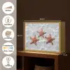 Zeesterren - Water - Helder Light Box met batterij (Wandlamp) middel -USP_websiteoverzichtNL