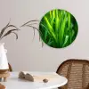 Grassprieten - Lichtinval - Groen Wandcirkel plexiglas klein -sfeer4