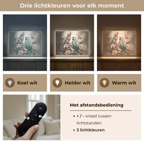 Papegaaien - Vogels - Natuur - Bloemen Light Box met batterij (Wandlamp) middel -USP_lichtkleurNL