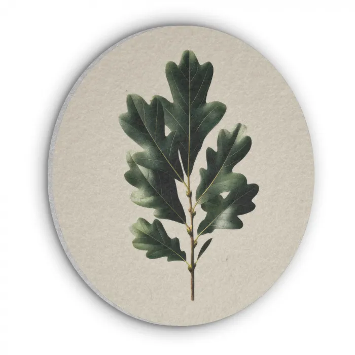Eikenbladeren - Beige - Groen - Golvende randen Akoestische PET Vilt - Rond klein -3d