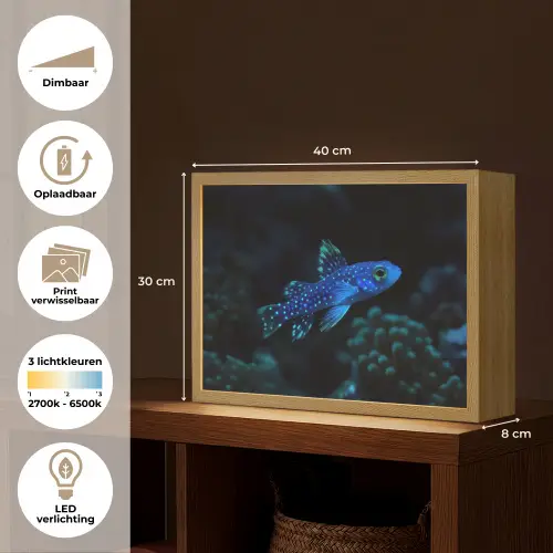 Vis - Stippen - Koraal - Blauw Light Box met batterij (Wandlamp) middel -USP_websiteoverzichtNL