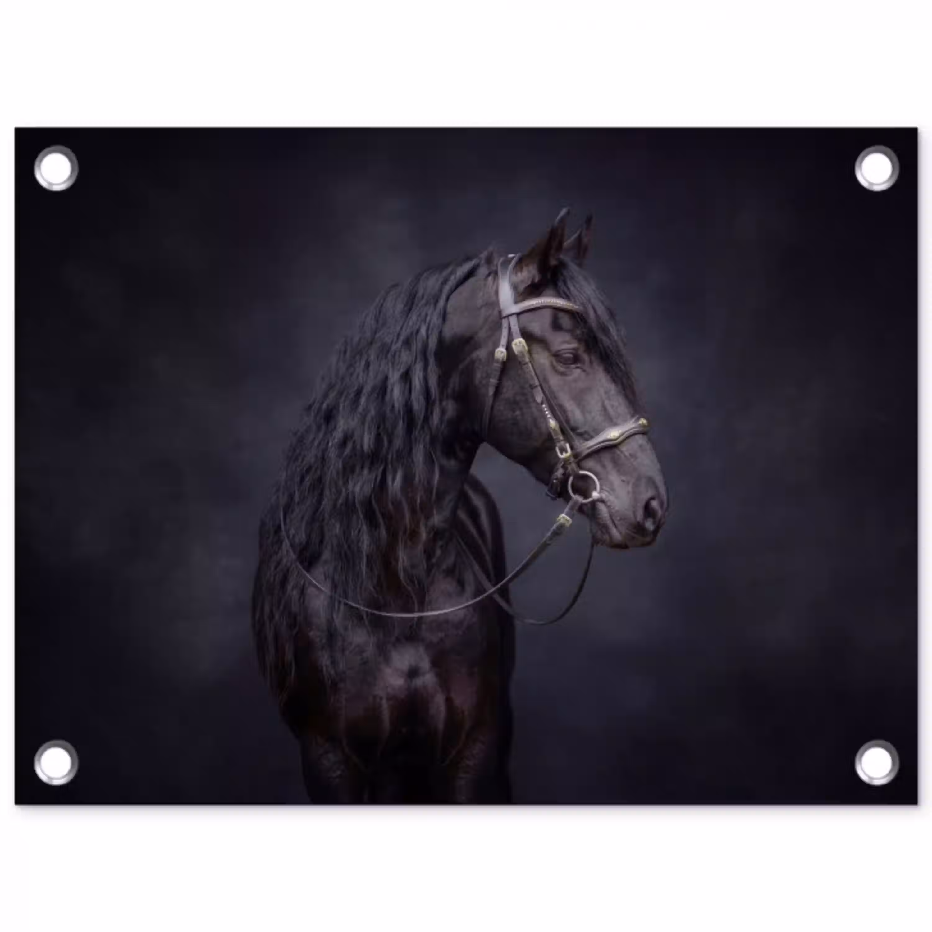 Portret - Paard - Donker tuinposter los doek klein -3d