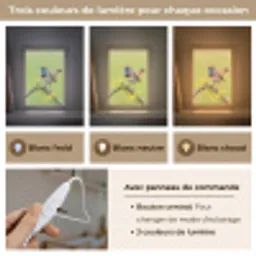 Vogel - Tak - Natuur - Kleurrijk Light Box met kabel (Kinderlampje) klein -USP_lichtkleurFR