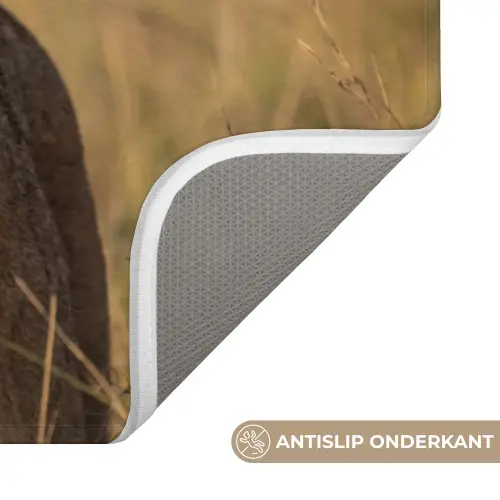 Leeuwin - Gras - Geel Badmat klein -USP_AntislipNL