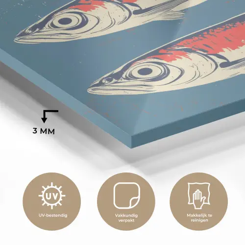 Vissen - Rood - Blauw plexiglas 5mm klein -sfeer2