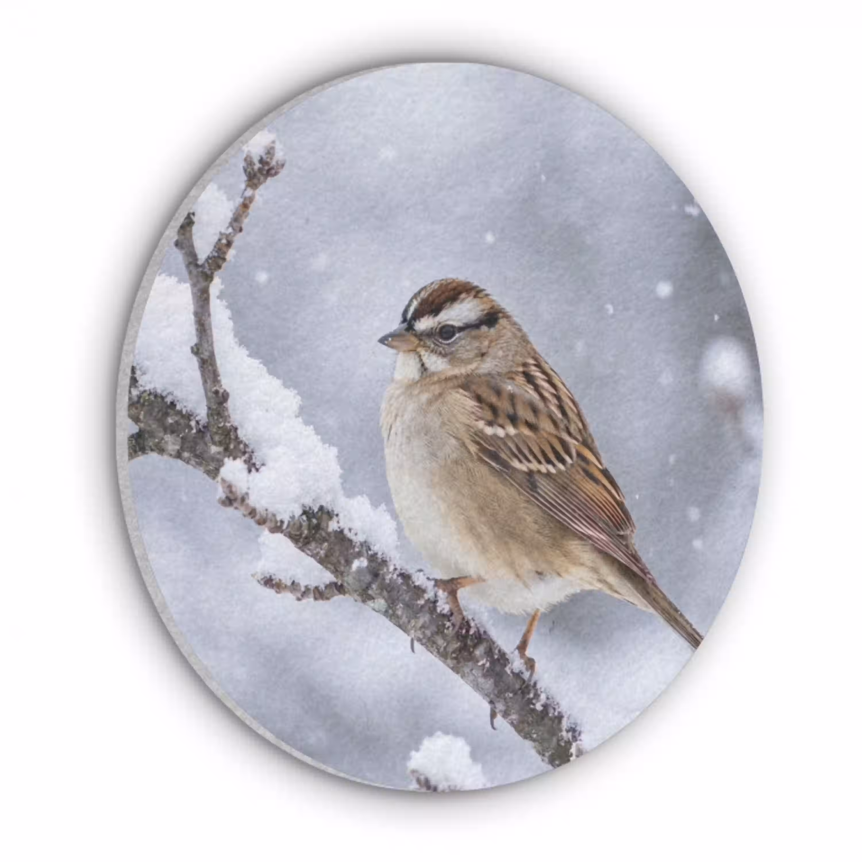 Vogel - Tak - Sneeuw - Winter Akoestische PET Vilt - Rond klein -3d