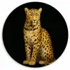 Panter - Realistisch - Bruin Wandcirkel plexiglas klein -3d
