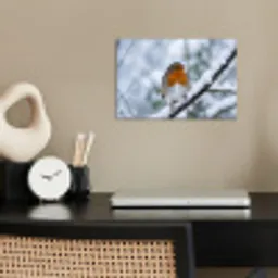 Roodborstje - Tak - Sneeuw - Winter - Levendig poster papier klein -sfeer1