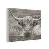 Schotse hooglander - Zwart - Wit - Hout PET vilt klein -3d