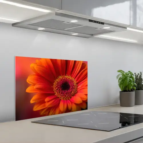 Oranje - Gerbera - Intens keuken achterwand spatscherm klein -3d_schuin