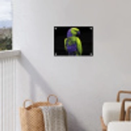 Papegaai - Veren - Opvallend - Groen tuinposter los doek klein -sfeer8