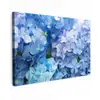 Hortensia - Waterdruppel - Bloemen - Botanisch - Blauw canvas 2cm klein -z3d
