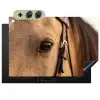 Paard - Oog - Bruin Inductie beschemer met haakjes klein -3d