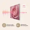 Roze - Roos - Romantisch PET vilt klein -USP_NL