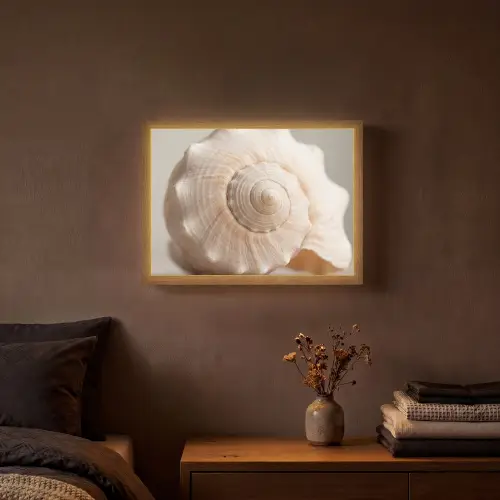 Schelp - Detail - Beige Light Box met batterij (Wandlamp) middel -sfeer4