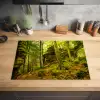 Bomen - Steen - Bos - Natuur - Planten Inductie beschermer vinyl 3mm middel -sfeer5