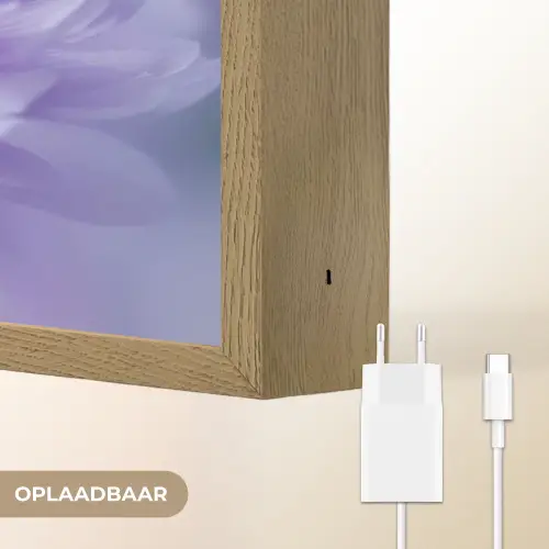 Paars - Dahlia - Dromerig Light Box met batterij (Wandlamp) middel -USP_websiteoplaadbaarNL