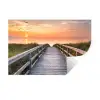 Zonsonderang - Zee - Pad - Gras - Duin - Vogels Muursticker klein -3d