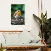 Roodborstje op een Boomstam tuinposter los doek klein -sfeer7