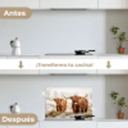 Schotse hooglander - Koe - Natuur - Winter keuken achterwand spatscherm klein -voor_na_ES