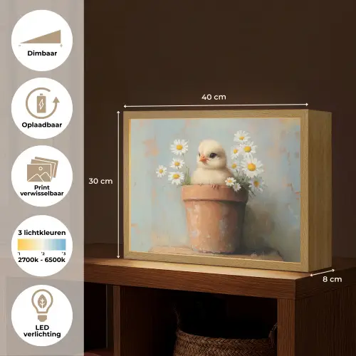 Bloempot - Kuiken - Bloemetjes Light Box met batterij (Wandlamp) middel -USP_websiteoverzichtNL