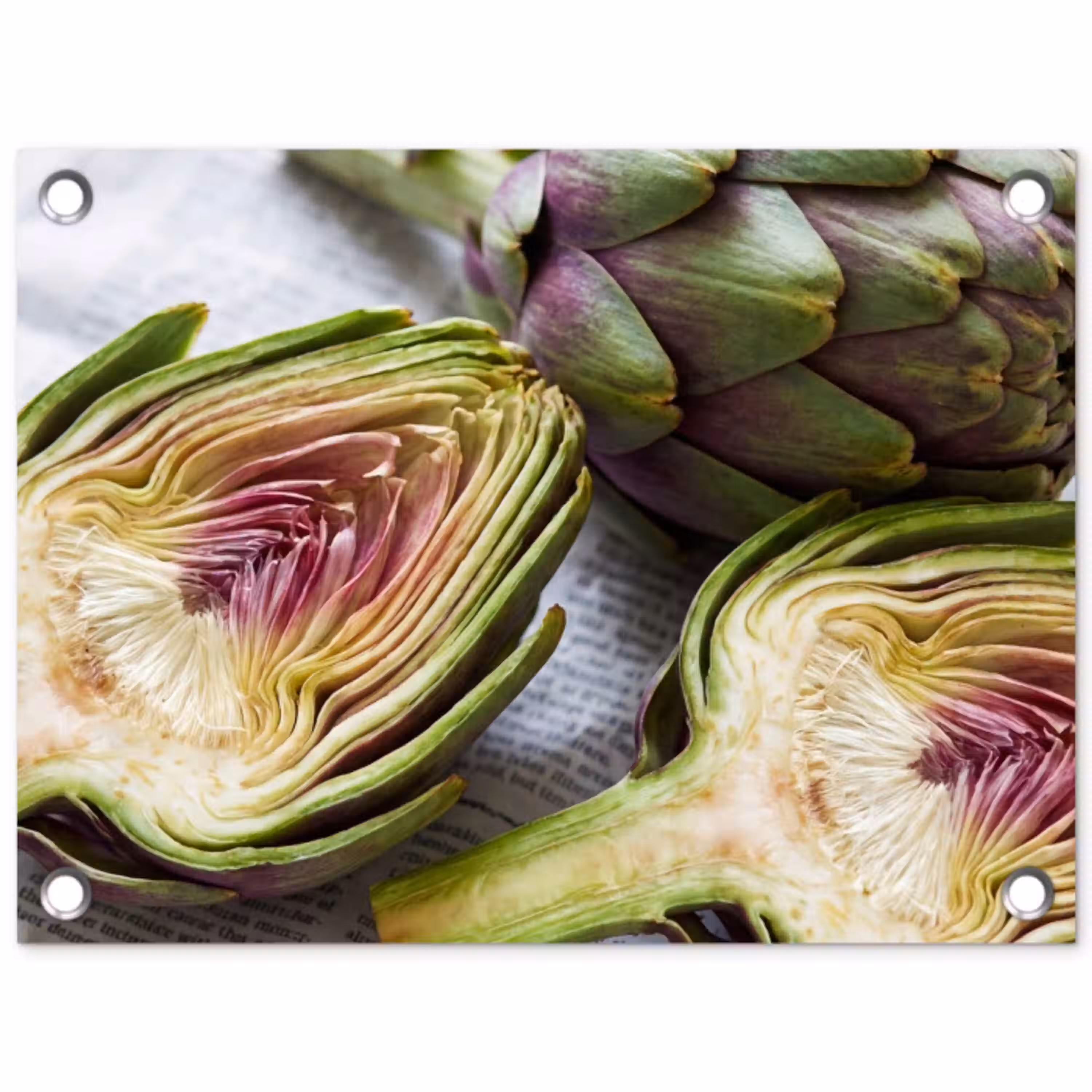 Artisjok - Doorgesneden - Eten tuinposter los doek klein -3d