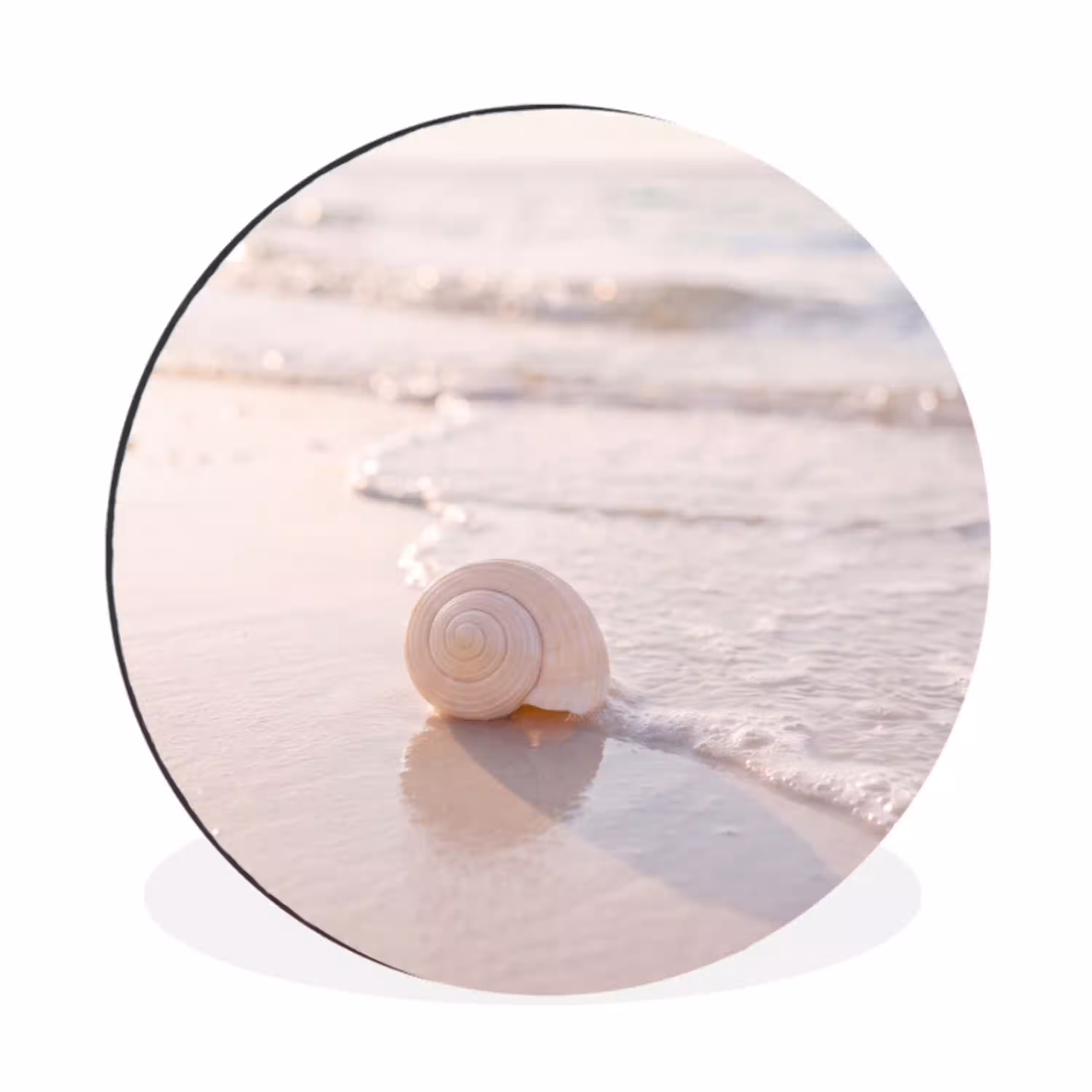 Zeeschelp - Strand - Zee - Natuur - Beige Wandcirkel aluminium klein -3d