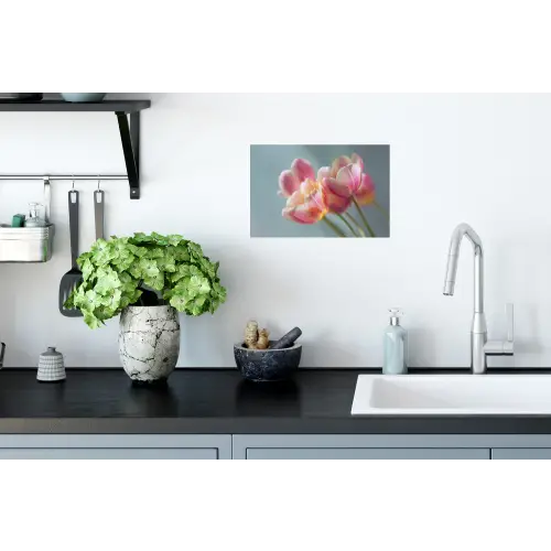 Tulpen - Roze - Stelen Muursticker klein -keuken