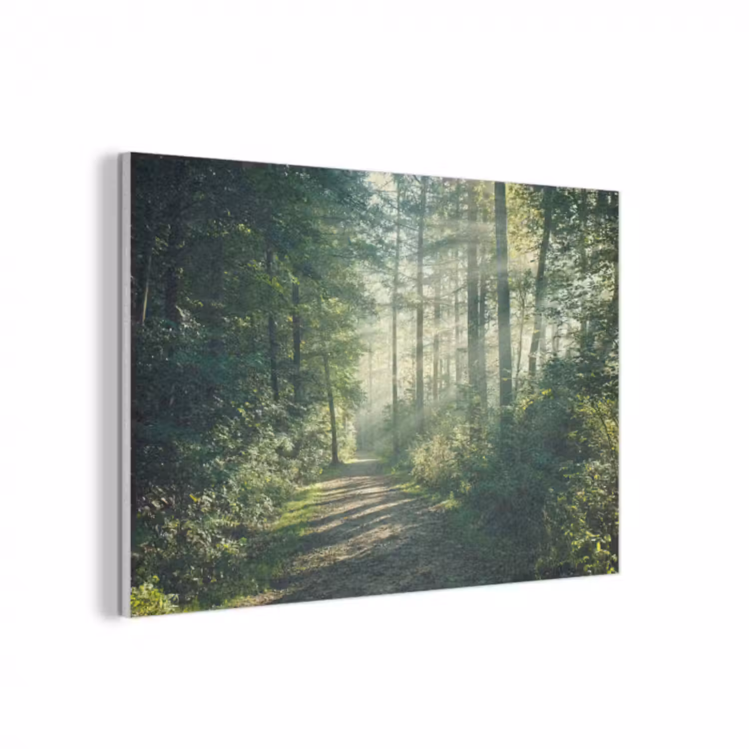 Akustikbild - Wald - Weg - Sonne - Bäume - Grün - Natur