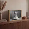 Sphynx - Kat - Dieren - Humor - Spaghetti - Zwart Wit Light Box met batterij (Wandlamp) middel -sfeer2