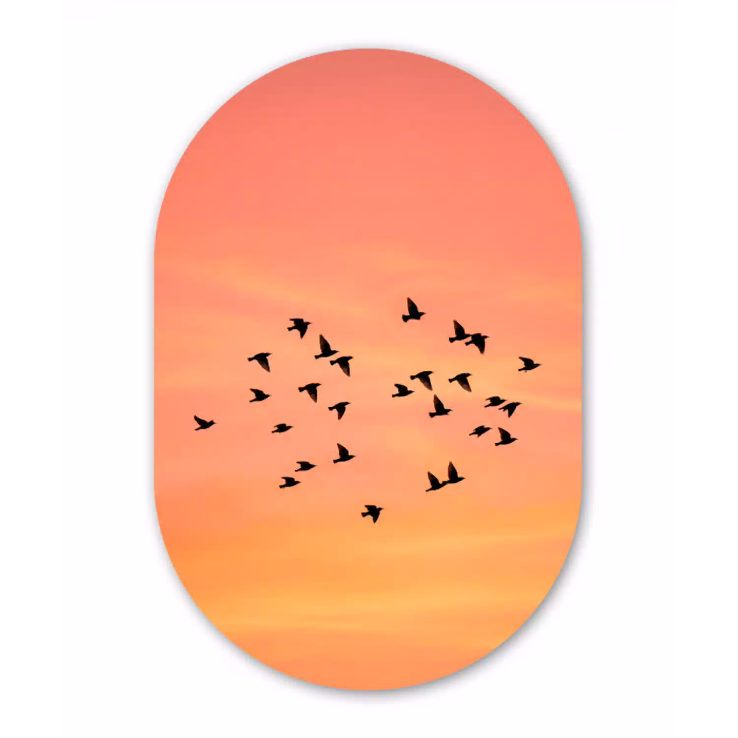 Zwerm - Vogels - Oranje Wandcirkel Ovaal Aluminium middel -3d