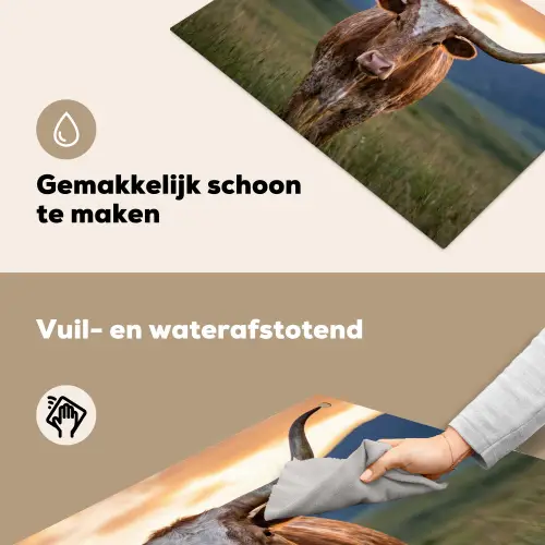 Longhorn - Landschap - Zonsondergang Inductie beschemer met haakjes klein -ky-schoon-nl