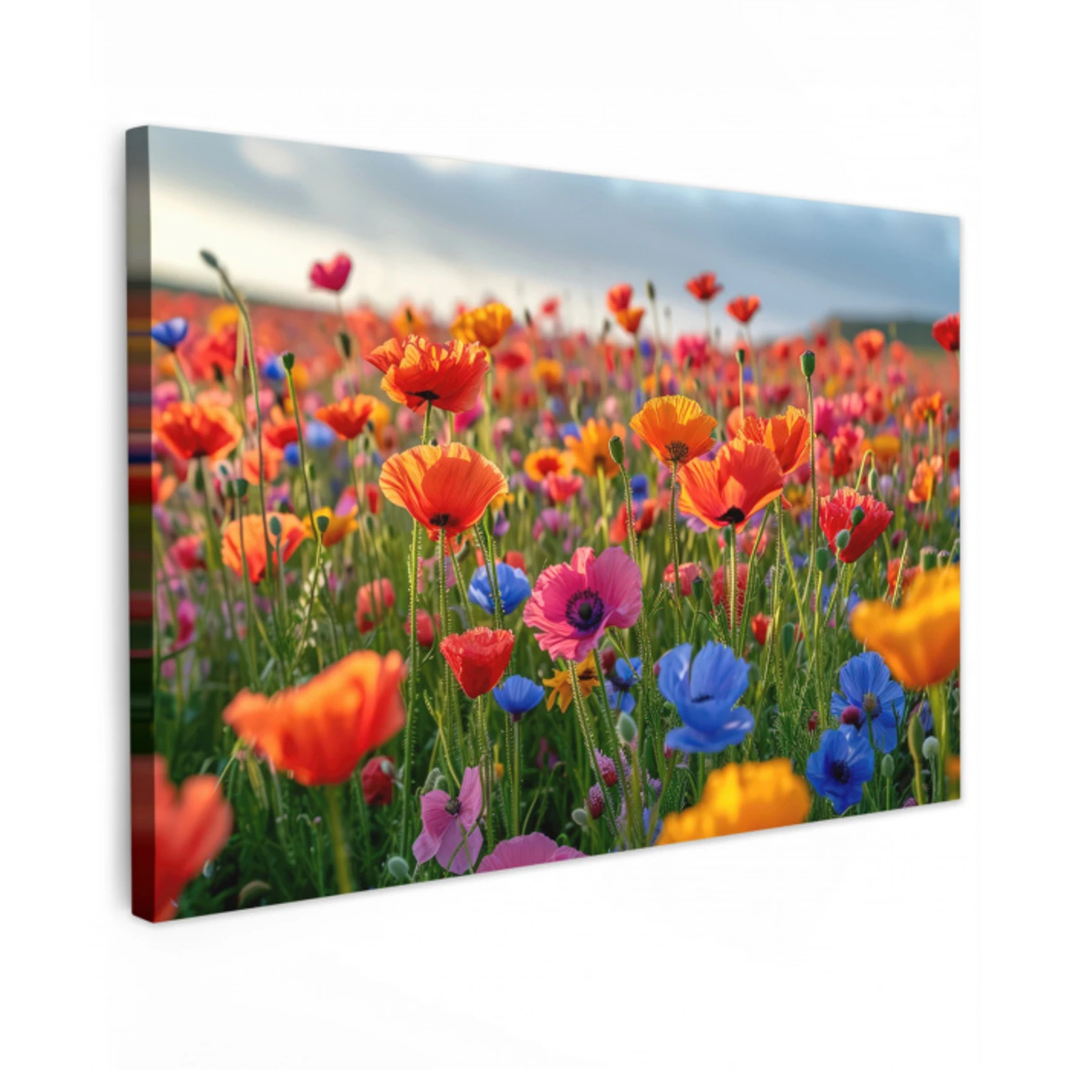 Bloemenweide in volle bloei Tuinposter op houten frame 2 cm dik klein -3d