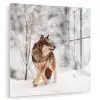 Wolf - Winter - Sneeuw - Natuur - Dieren plexiglas 5mm klein -zzzproduct_nieuw