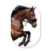 Paard - Springen - Modern Wandcirkel Ovaal Forex klein -3d