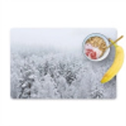 Bos - Sneeuw - Winter - Natuur - Wit Placemat vinyl groot -zzzproduct_Kitchenyeah-website